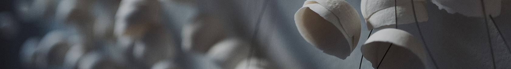 色综合久久久久无码专区