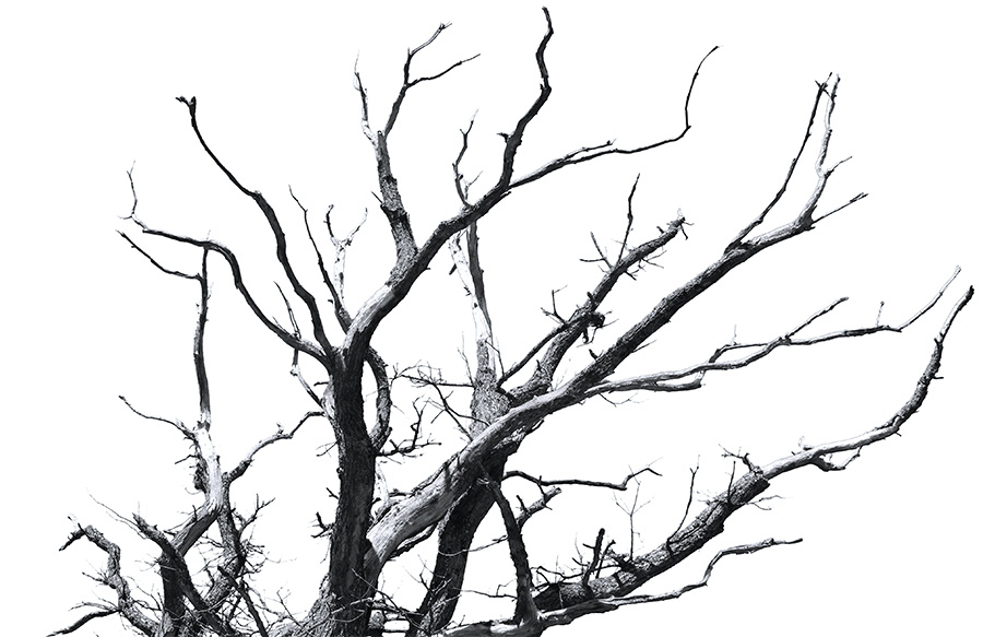 色综合久久久久无码专区