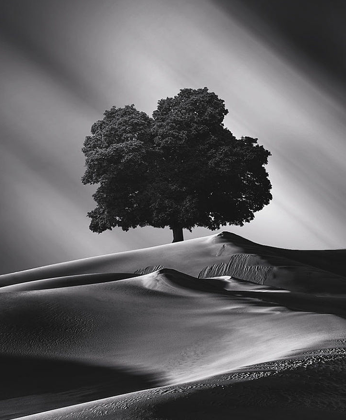 色综合久久久久无码专区