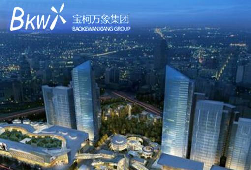 宝柯万象集团