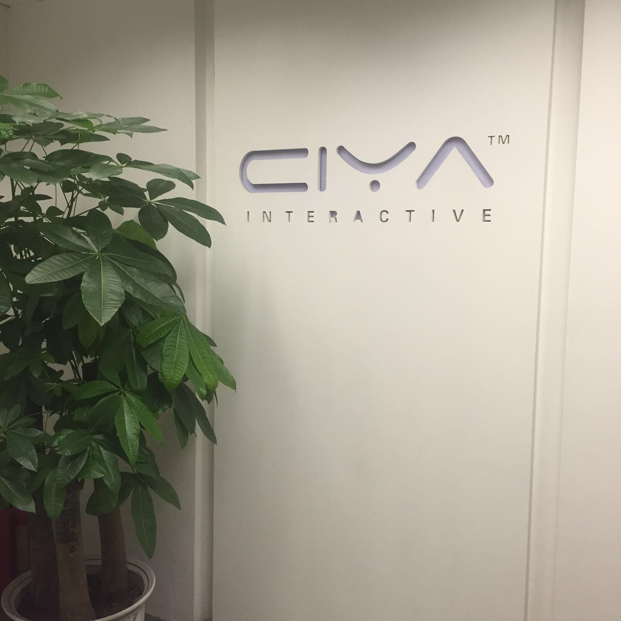 1456454132401013.jpg 274356108566012023.jpg